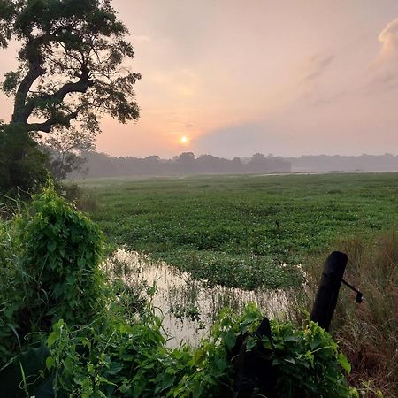 Lake Cabin Polonnaruwa Bagian luar foto