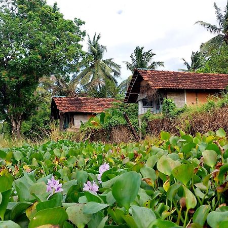 Lake Cabin Polonnaruwa Bagian luar foto
