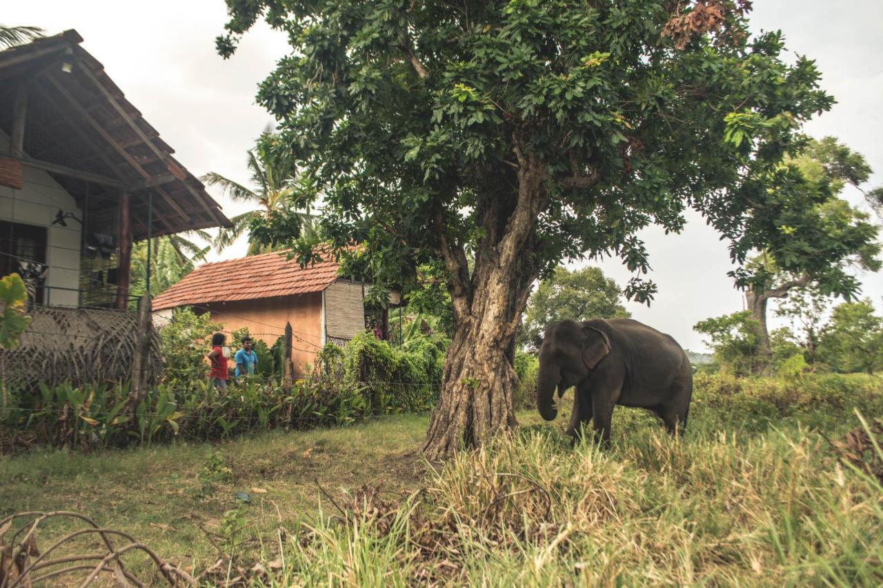 Lake Cabin Polonnaruwa Bagian luar foto