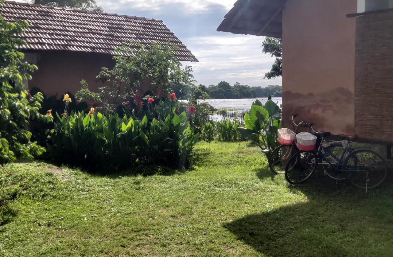 Lake Cabin Polonnaruwa Bagian luar foto