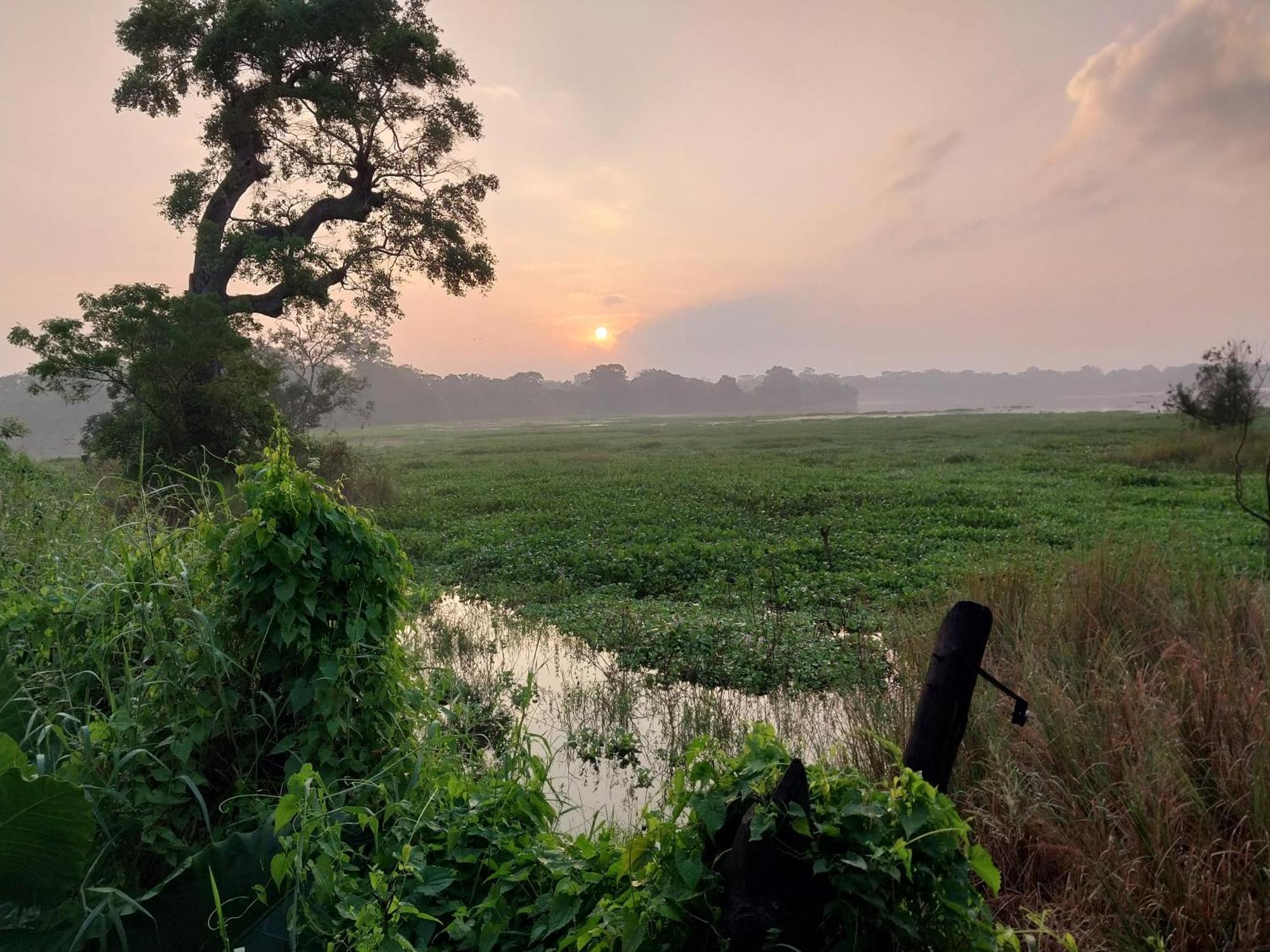 Lake Cabin Polonnaruwa Bagian luar foto