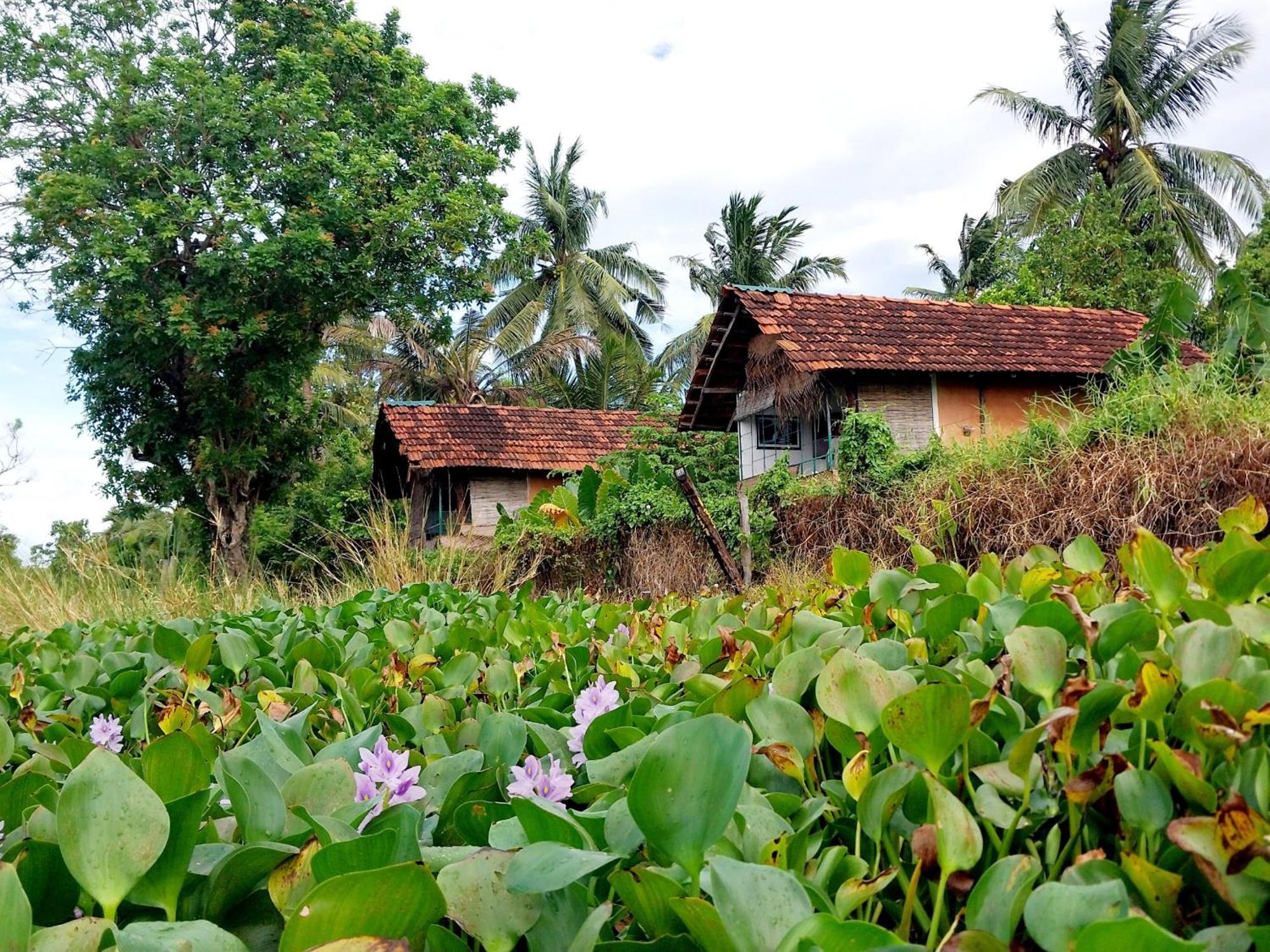 Lake Cabin Polonnaruwa Bagian luar foto