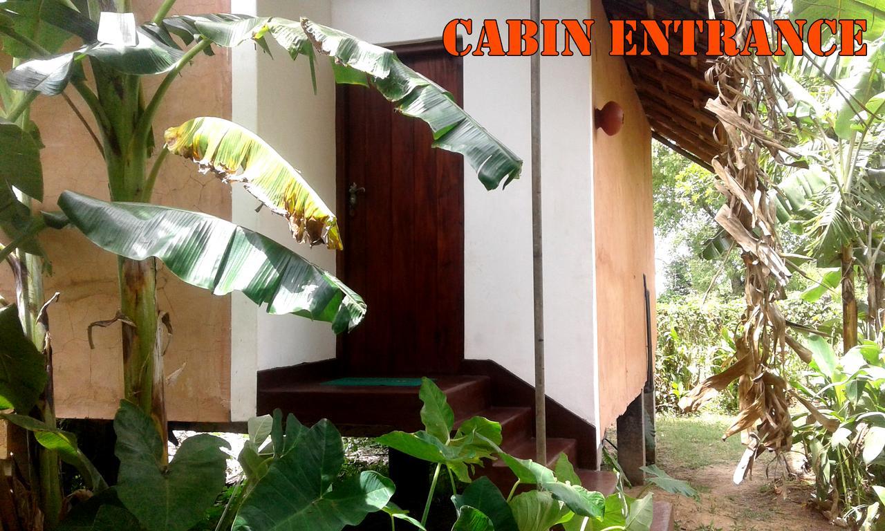 Lake Cabin Polonnaruwa Bagian luar foto